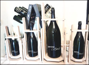 Penina Cvitanič za posebne priložnosti